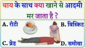 GK Questions And Answers